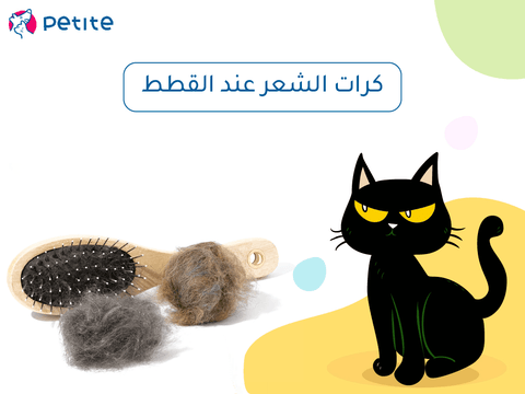 Symptoms of hairballs in cats, their most important causes, and how to get rid of them