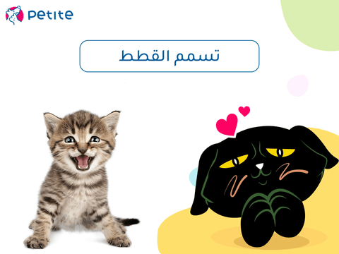 Signs of cat poisoning