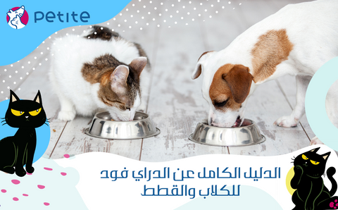 The complete guide to Dray Food for dogs and cats