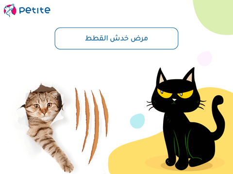 Cat scratch disease