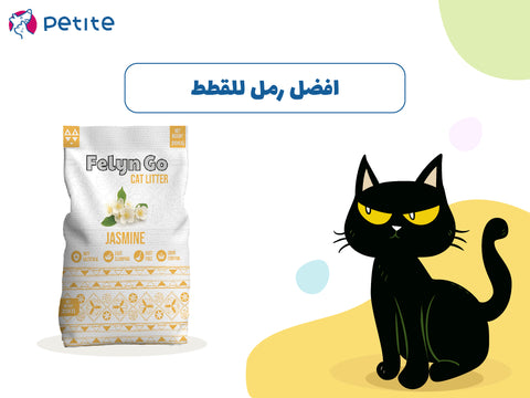 افضل رمل للقطط