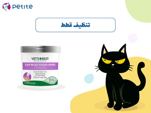 تنظيف قطط