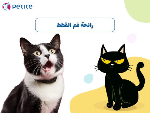 أسباب رائحة فم القطط الكريهة