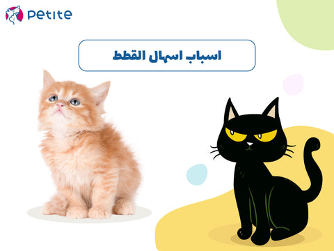 اسباب اسهال القطط