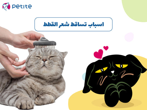 أسباب تساقط شعر القطط بغزارة وعلاجه