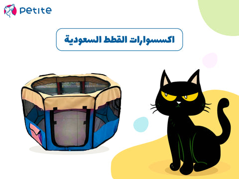 افضل متجر اكسسوارات ولوازم القطط في السعودية