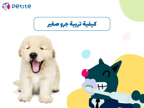 كيفية تربية جرو صغير