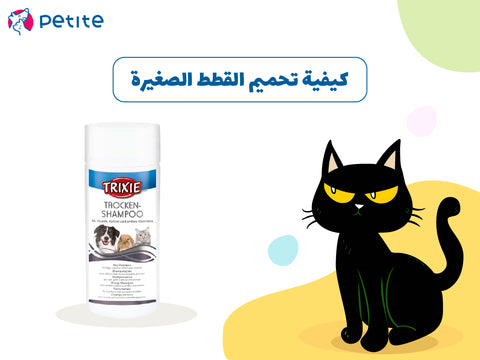 كيفية تحميم القطط الصغيرة
