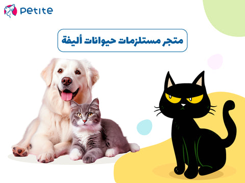 متجر مستلزمات حيوانات أليفة