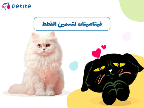 فيتامينات لتسمين القطط