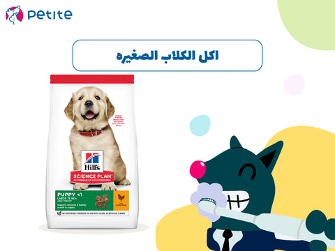 ما هو اكل الكلاب الصغيره واالظعام المفضل لها