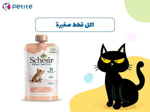 اكل قطط صغيرة