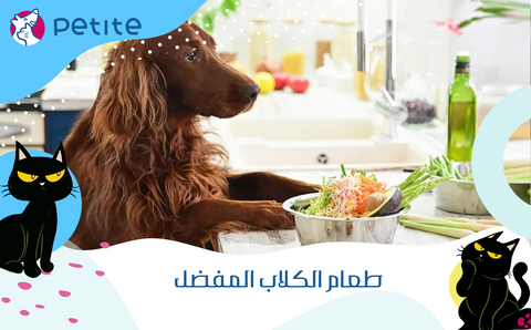 Learn about your favorite dog food and how to serve it