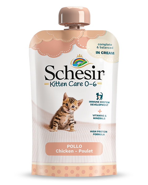 Ideal wet food for kittens – Petite
