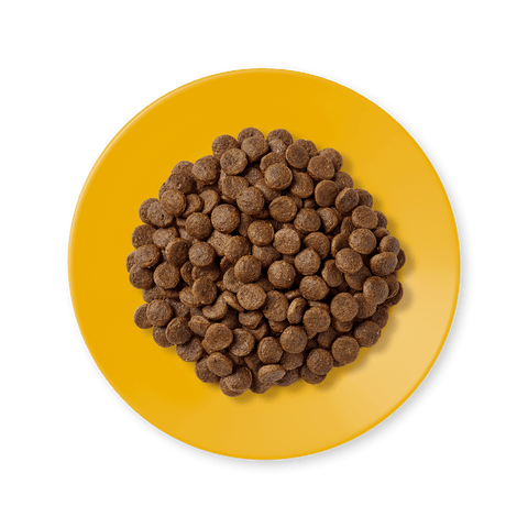 ابلاوز طعام جاف بالدجاج للقطط البالغة