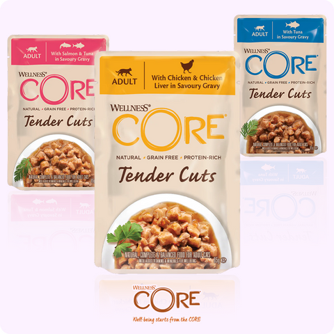 Signature Pouches by Wellness