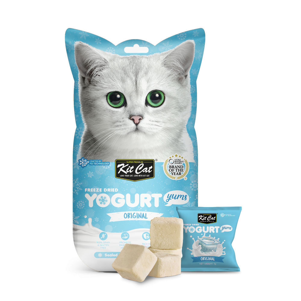 Probiotic yogurt fashion for cats