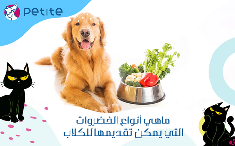 What types of vegetables can be served to dogs