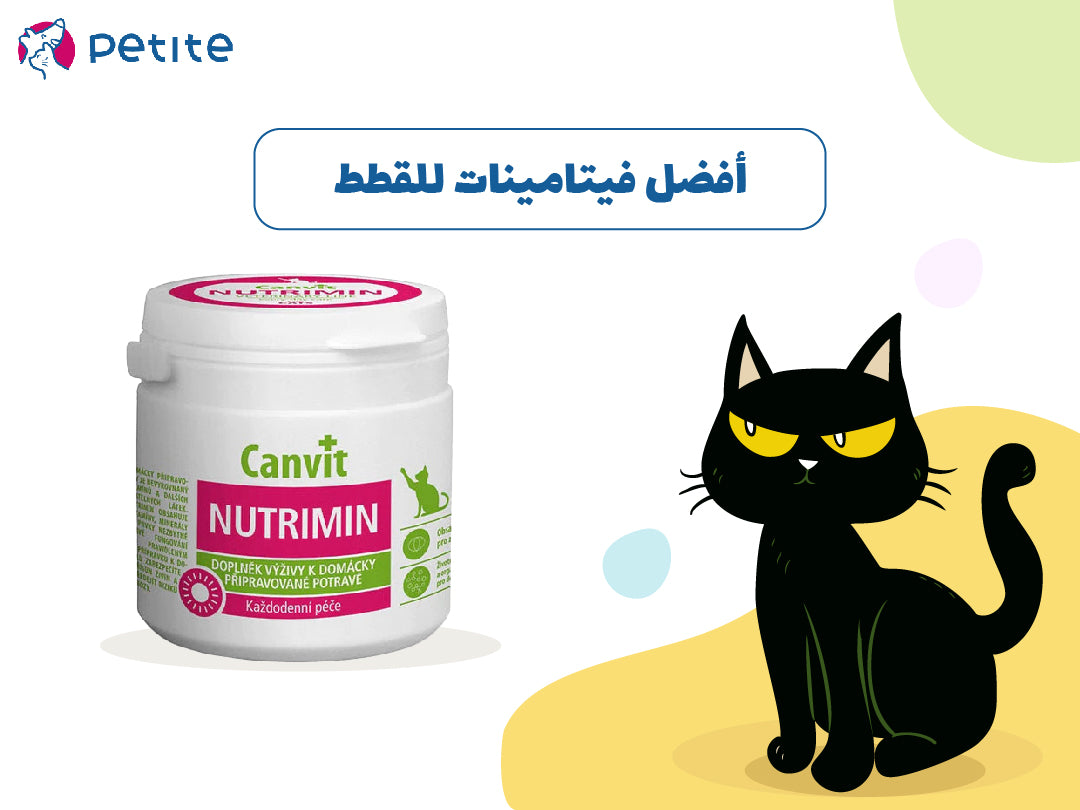 The best vitamins for cats to strengthen immunity Petite