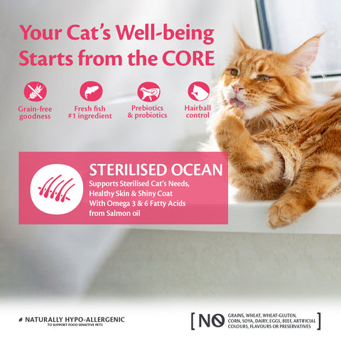 Wellness CORE Sterilized Ocean, Salmon Recipe 1.75 KG