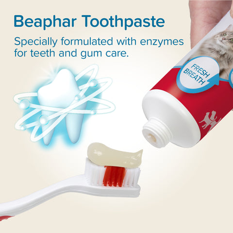 Beaphar Liver-Flavour Toothpaste with Enzymes for Cats & Dogs