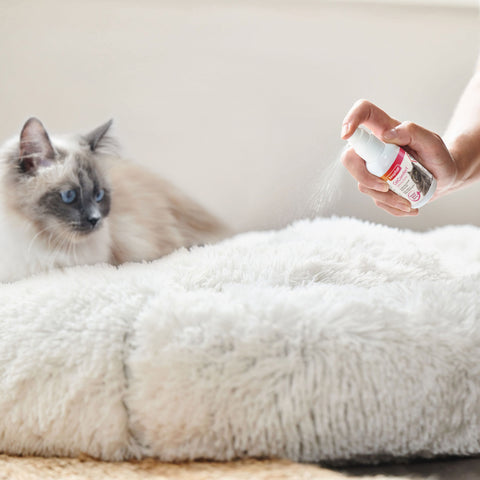 Beaphar Calming Spray for Cats