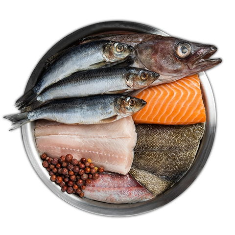 Orijen Six Fish Dry Food for Adult Cats & Kittens