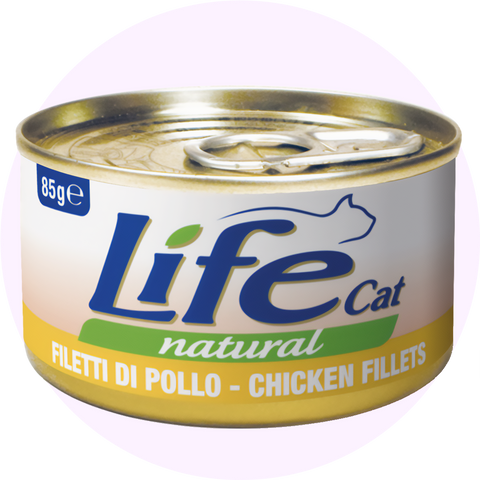 Cats Wet Food