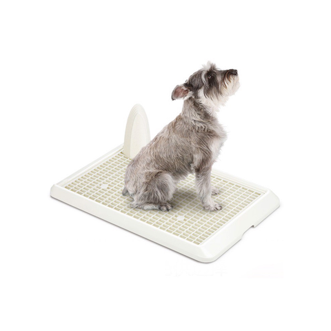 Catidea Dog Tray Lavatory-C NO4 L