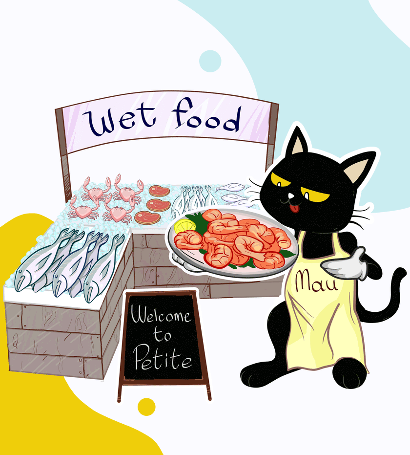 the best Cats Wet Food Petite