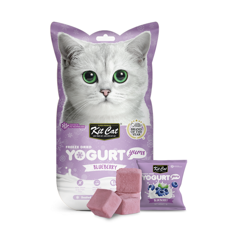 Kit Cat Freeze Dried Yogurt Yums Blueberry (1G x 10 Bags)