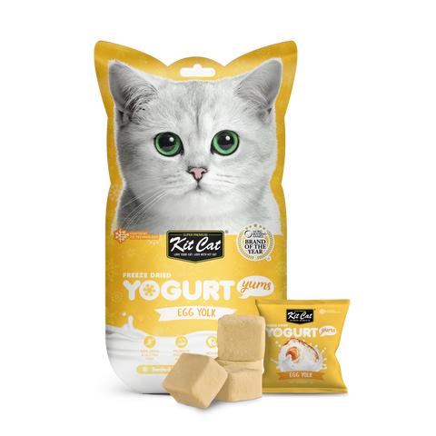 Cat yoghurt best sale