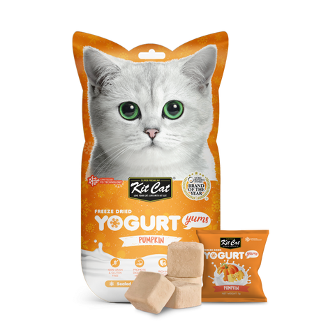 Kit Cat Freeze Dried Yogurt Yums Pumpkin (1G X 10 Bags)