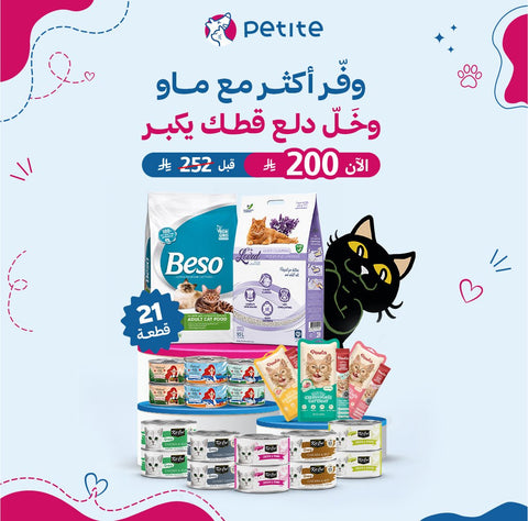 البكج الاقتصادي