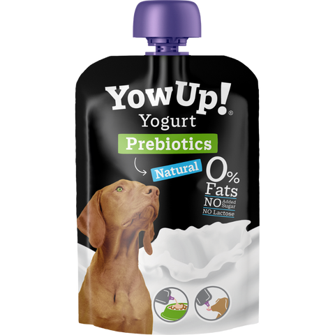 Lactose free 2025 yogurt for dogs